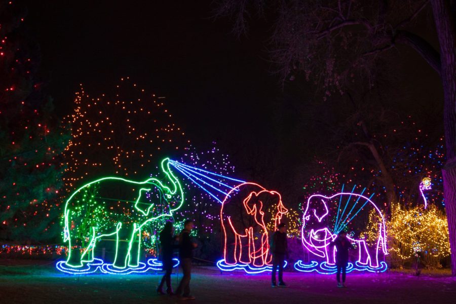Zoo Lights Display, Winter Holidays, in Denver Colorado Transform Health
